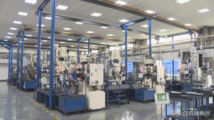 中國鎢業協會硬質合金分會代表大會在株洲召開